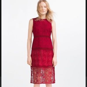 NWT Zara Dress